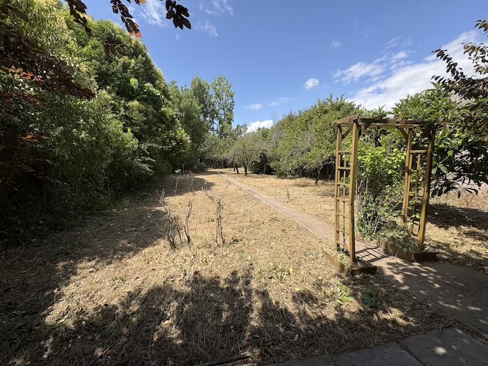 Jardin nettoyé et entretenu