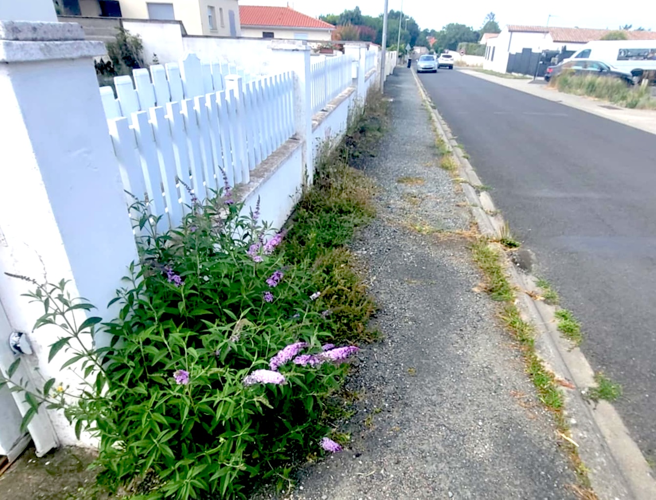 Trottoir encombré avant entretien